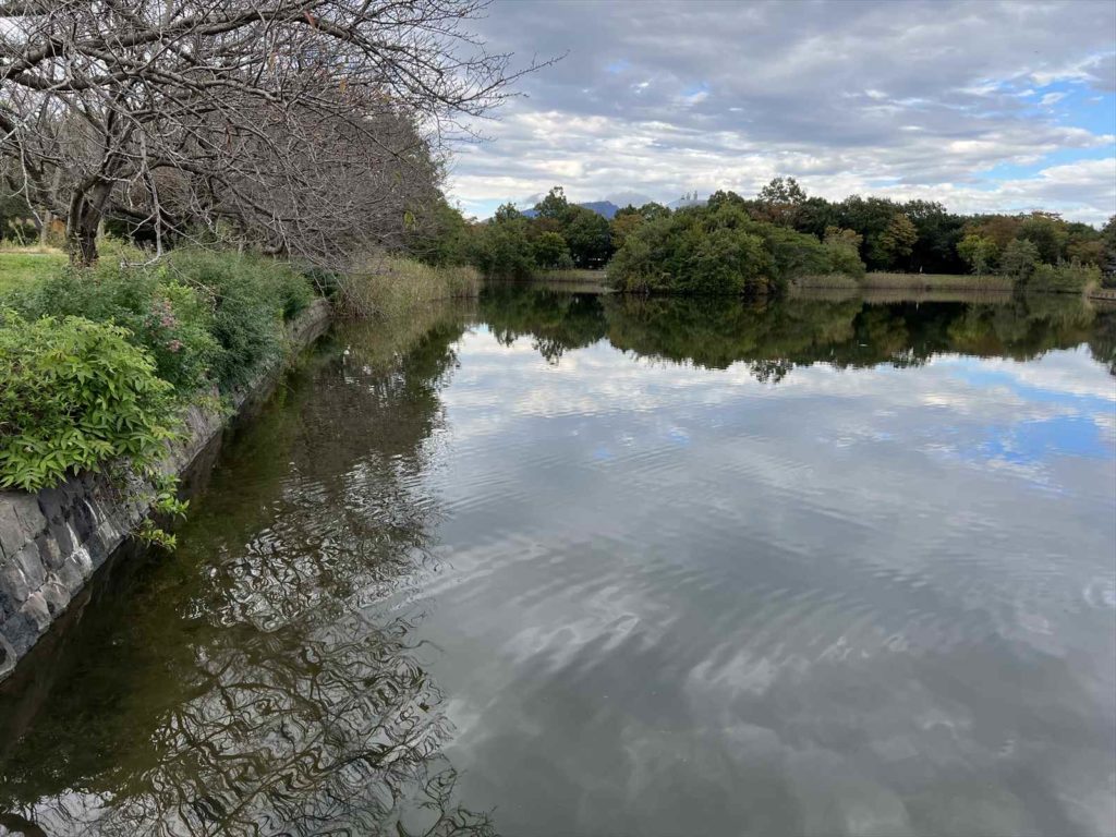 茨城県バス釣りポイント 大久保公園 | ブラックバス釣りポイントMAP